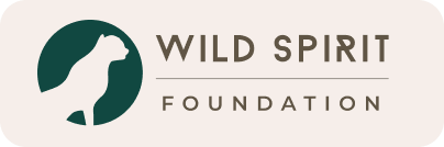 Logotipo Wild Spirit Foundation con guepardo y tipografia